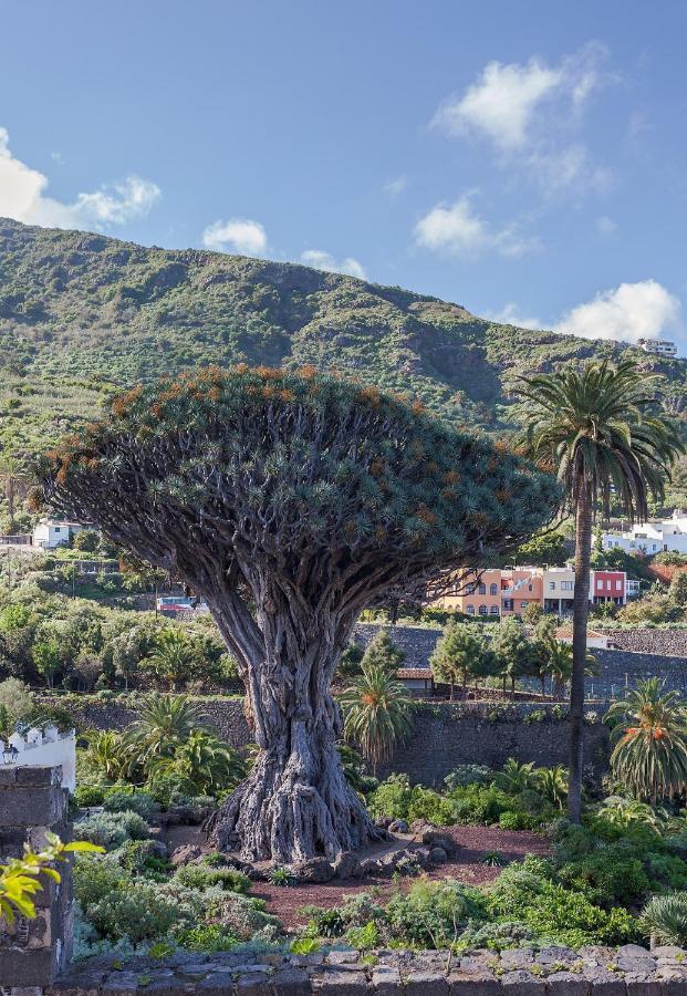 Appartamento Terraza Centrico Pueblo Aparcamiento Cerca Icod De Los Vinos Esterno foto